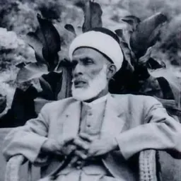 Portrait of Toufik El Hibri