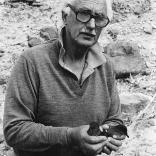 Portrait of Paul Alexander Zino