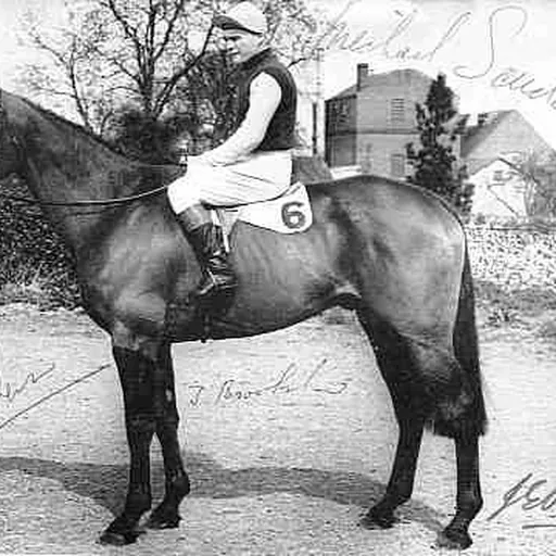 Portrait of Michael Scudamore