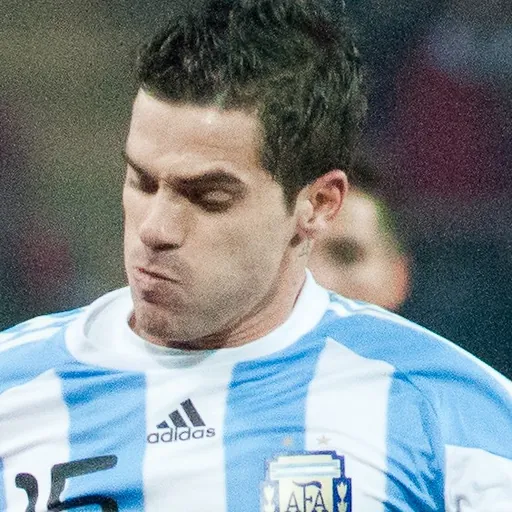 Portrait of Fernando Gago