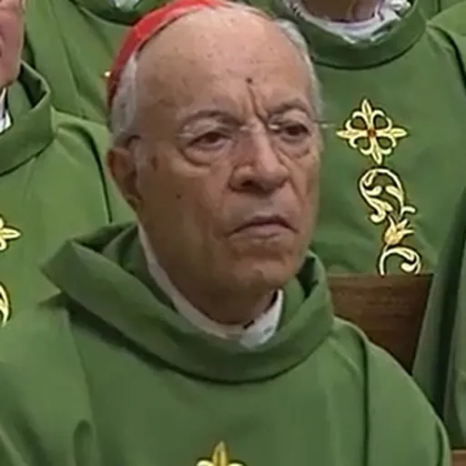 Portrait of Manuel Monteiro de Castro
