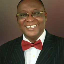 Portrait of Adedayo Clement Adeyeye