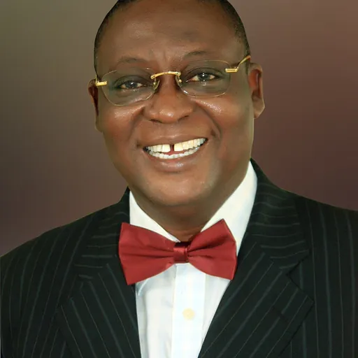 Portrait of Adedayo Clement Adeyeye
