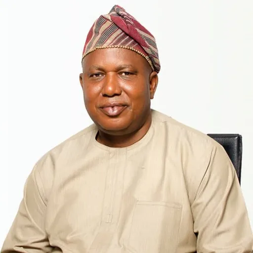 Portrait of Mayowa Akinfolarin