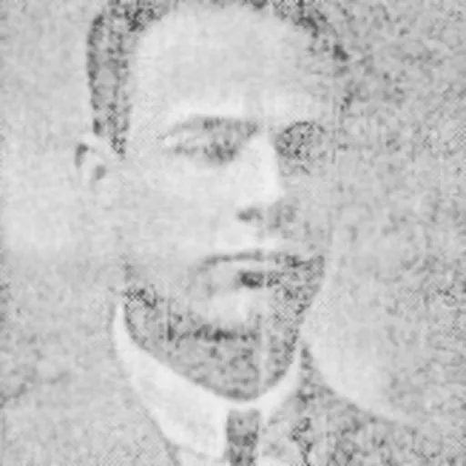 Portrait of Dimitar Gyuzelov
