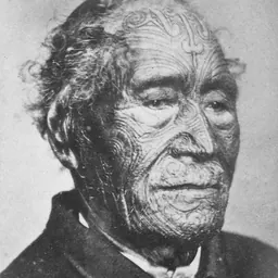 Portrait of Tāmati Wāka Nene