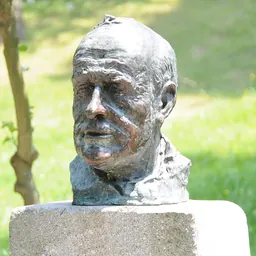 Portrait of Gonçalo Sampaio