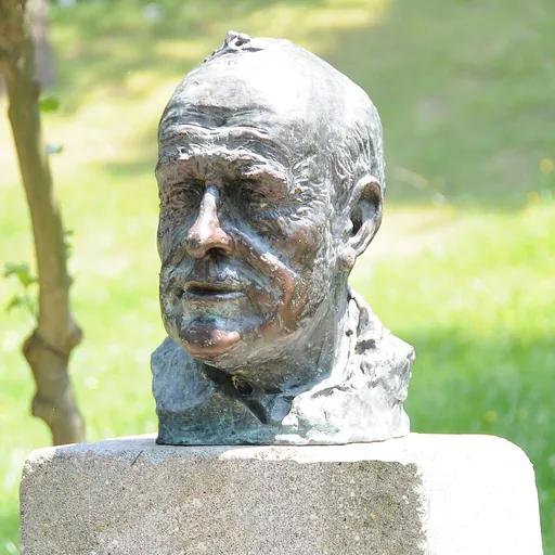 Portrait of Gonçalo Sampaio