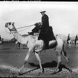 Portrait of Bryan Godfrey-Faussett