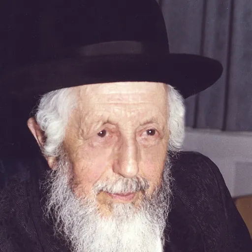 Portrait of Michel Dorfman