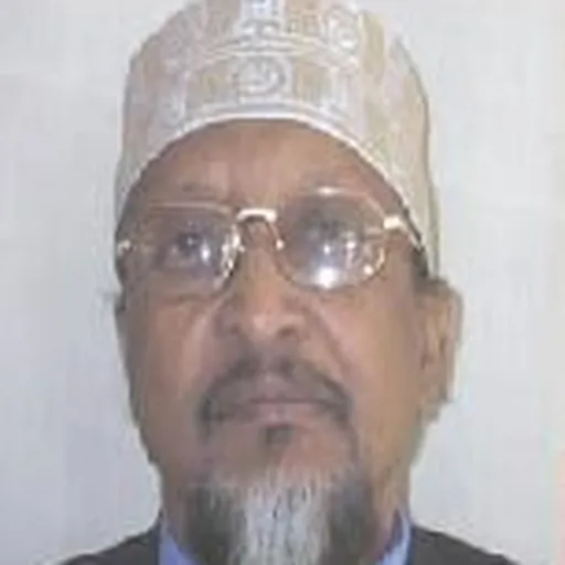 Portrait of Hassan Abshir Farah