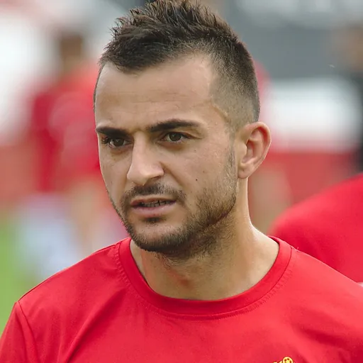 Portrait of Damir Kojašević