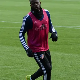 Portrait of Roland Lamah