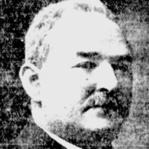 Portrait of Fred Davis