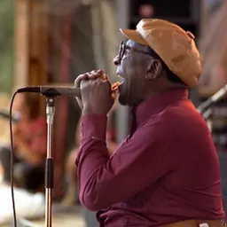 Portrait of Sonny Terry