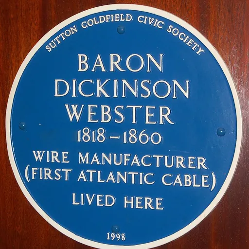 Portrait of Baron Dickinson Webster