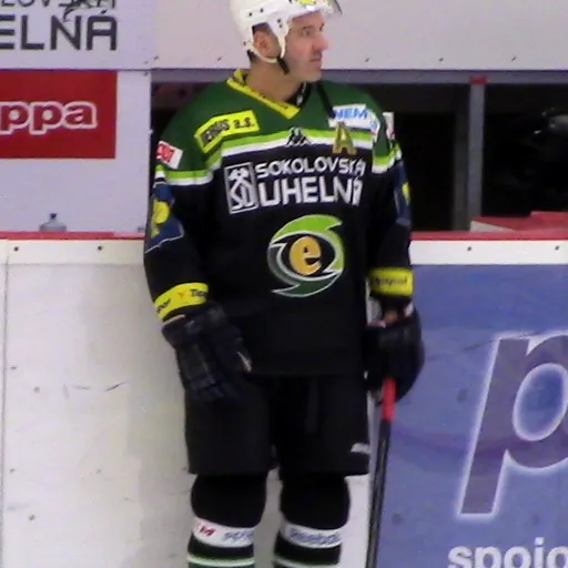 Portrait of David Hruška