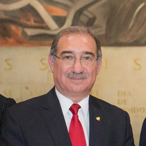 Portrait of Alberto Pérez Dayán