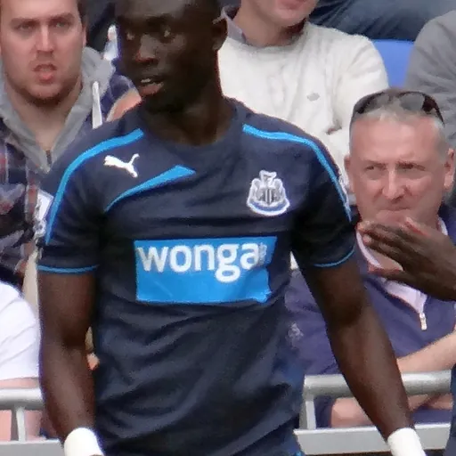 Portrait of Papiss Cissé