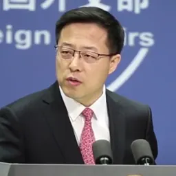Portrait of Zhao Lijian