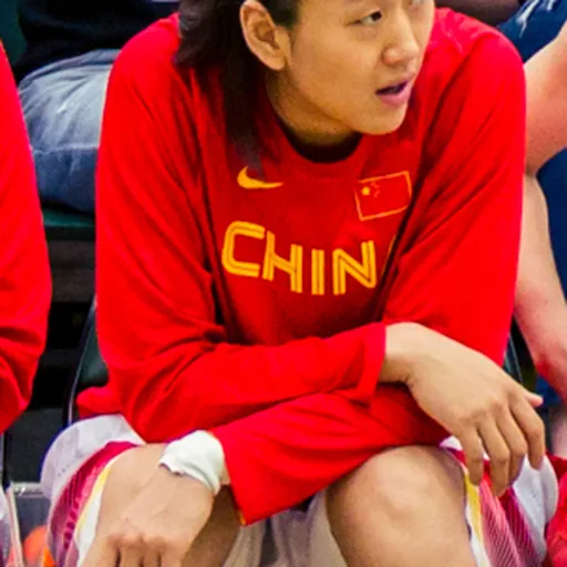 Portrait of Gao Song