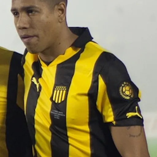 Portrait of Nicolás Freitas