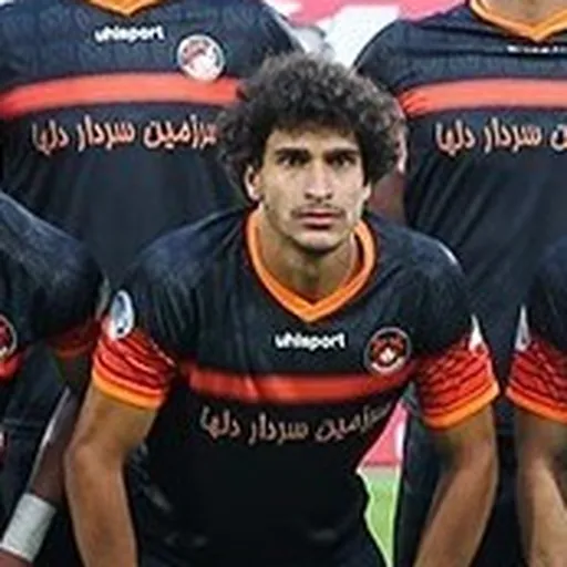 Portrait of Saman Touranian