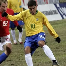 Portrait of Ricardinho