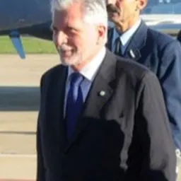 Portrait of Victorio Taccetti