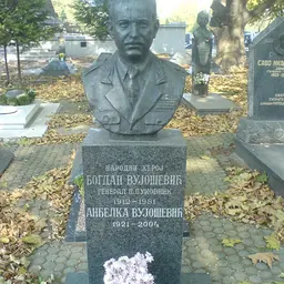 Portrait of Bogdan Vujošević