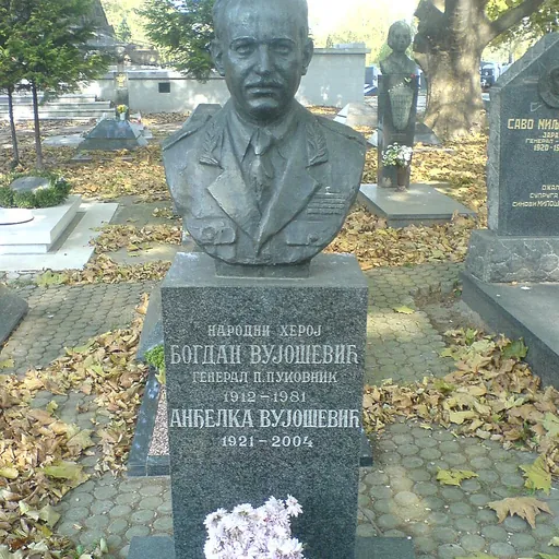 Portrait of Bogdan Vujošević