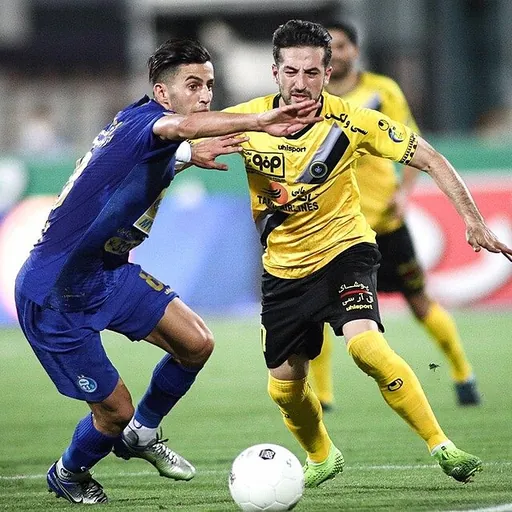 Portrait of Mehdi Torkaman
