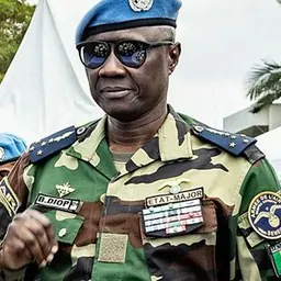 Portrait of Birame Diop