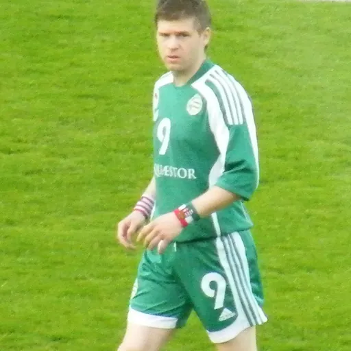 Portrait of Zoltán Böőr