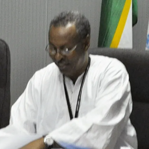 Portrait of Mohamed Yonis