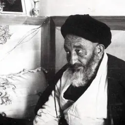 Portrait of Abulhassan Shamsabadi