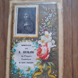 Portrait of Herculanus of Piegaro