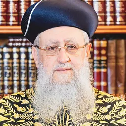 Portrait of David Yosef