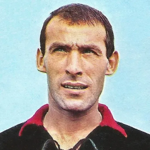 Portrait of Dario Barluzzi