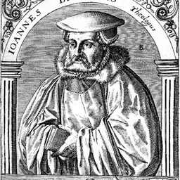 Portrait of Johannes Brenz