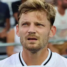 Portrait of David Goffin