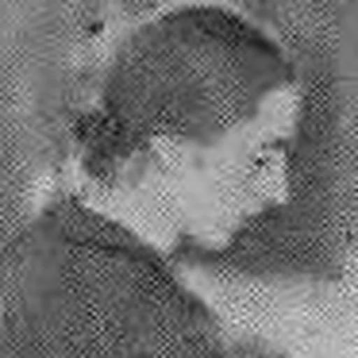 Portrait of Wanda Piłsudska