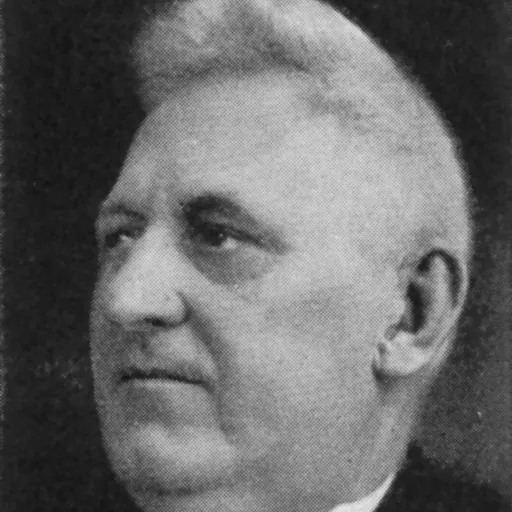 Portrait of Fabian Månsson
