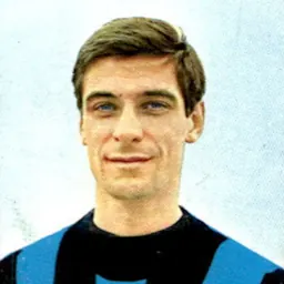 Portrait of Aristide Guarneri