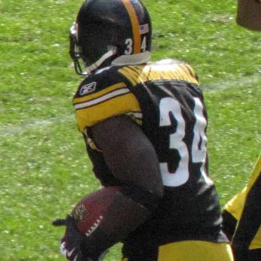 Portrait of Rashard Mendenhall