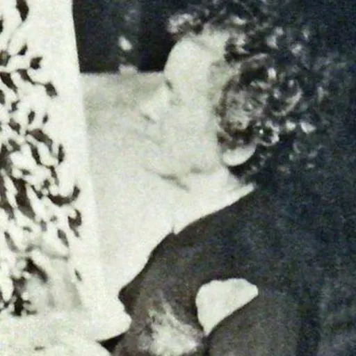 Portrait of Séraphine Louis