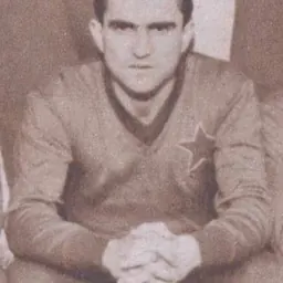Portrait of Mircea Georgescu