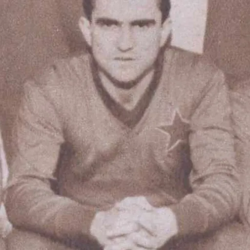 Portrait of Mircea Georgescu