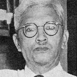 Portrait of Nur Sutan Iskandar