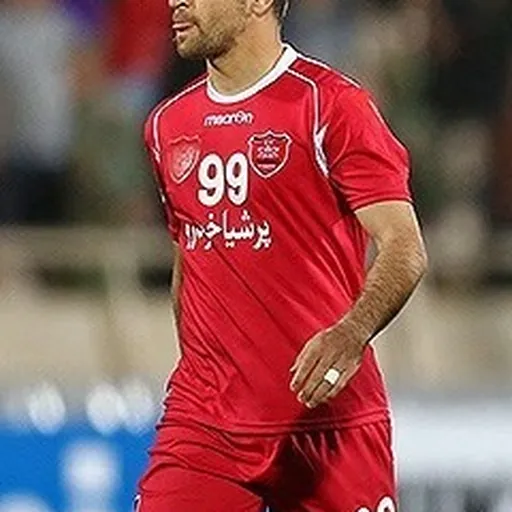 Portrait of Babak Hatami